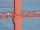Traffic Moving on the Golden Gate Bridge