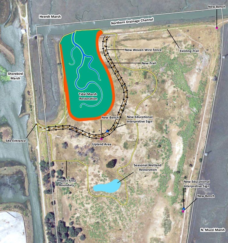 Corte_Madera_Tidal_Marsh_Restoration_Site_Plan_111220